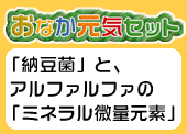 ���C�Z�b�g�o�i�[